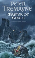 Master Of Souls (Sister Fidelma Mysteries Book 16): A chilling historical mystery of secrecy and danger цена и информация | Фантастика, фэнтези | 220.lv