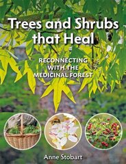 Trees and Shrubs that Heal: Reconnecting With The Medicinal Forest цена и информация | Самоучители | 220.lv