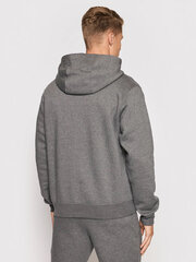 Nike Джемпер NK Men Park 20 Fleece Hoodie Grey CW6894 071 CW6894 071/2XL цена и информация | Мужские толстовки | 220.lv