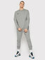 Nike džemperis vīriešiem Park Crew CW6902, pelēks цена и информация | Vīriešu jakas | 220.lv