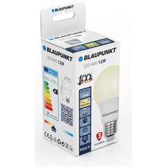 Blaupunkt LED лампа E27 A60 12W 2700K цена и информация | Лампочки | 220.lv