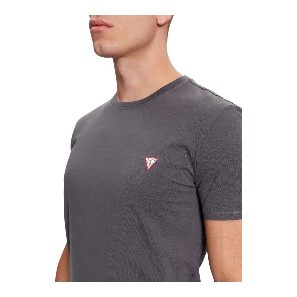 Guess t-krekls vīriešiem 84470, pelēks cena un informācija | Vīriešu T-krekli | 220.lv
