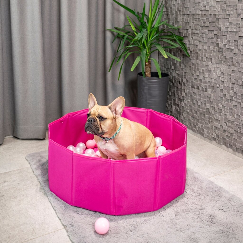 Petsona salokāms bumbiņu baseins suņiem, 100 bumbiņas, rozā cena un informācija | Suņu rotaļlietas | 220.lv