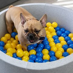 Petsona шар-бассейн для собак 90x30cm/200 шаров круглый кот кролик животное собака бассейн животные пена бассейн портативный сделано в ЕС, светло-серый цена и информация | Игрушки для собак | 220.lv