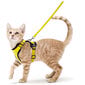 Mīksta regulējama kaķu siksna dzeltena cena un informācija | Pavadas, apkakles, siksnas kaķiem | 220.lv