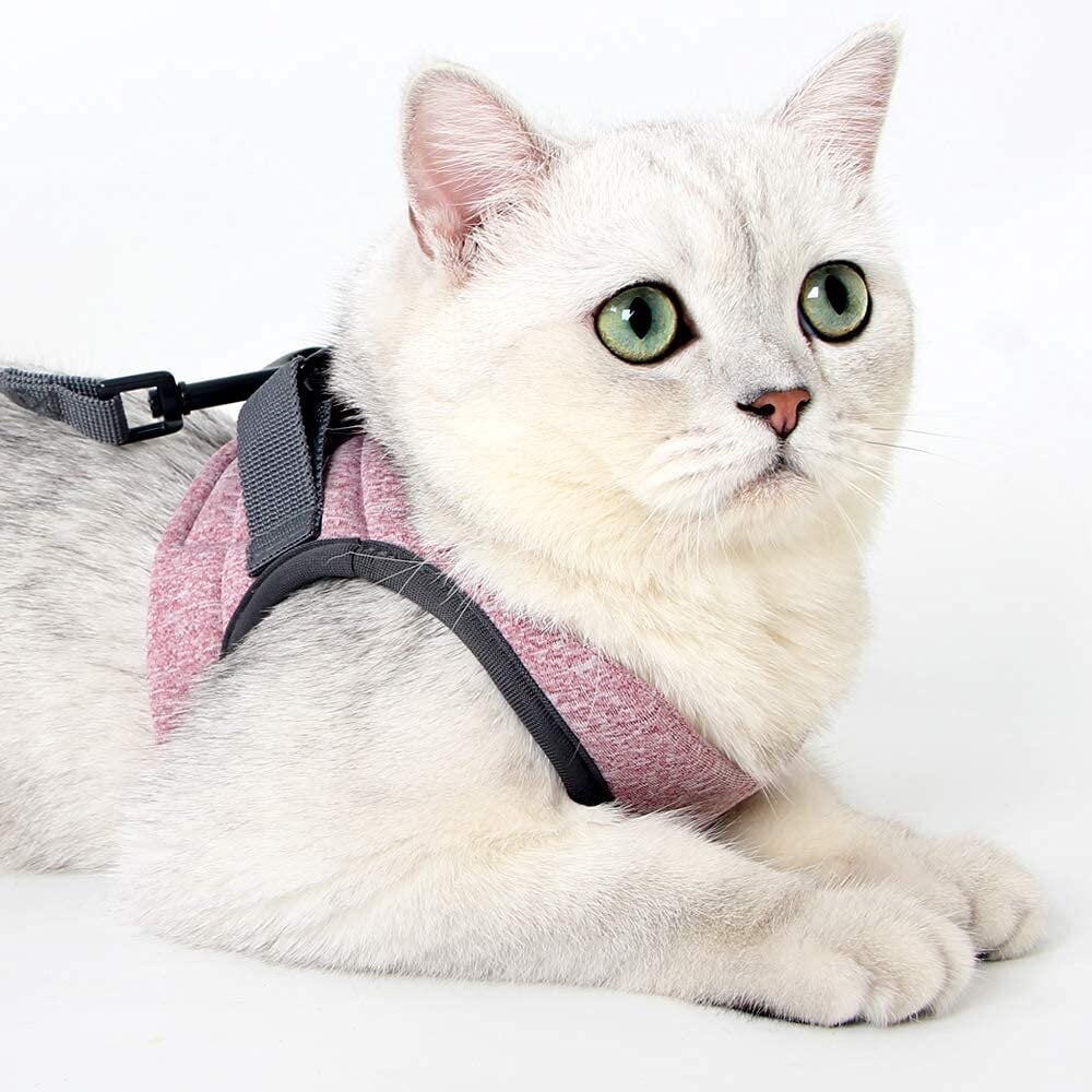 Kaķu veste rozā M izmērs cena un informācija | Pavadas, apkakles, siksnas kaķiem | 220.lv