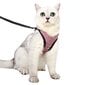 Kaķu veste rozā M izmērs cena un informācija | Pavadas, apkakles, siksnas kaķiem | 220.lv