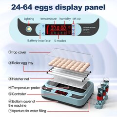 Инкубатор для яиц с автоматическим контролем температуры и влажности OUYOLAD, 24-64 яйца цена и информация | Товары для сельскохозяйственных животных | 220.lv