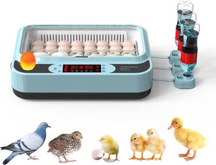 Инкубатор для яиц с автоматическим контролем температуры и влажности OUYOLAD, 24-64 яйца цена и информация | Товары для сельскохозяйственных животных | 220.lv