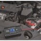 Akumulatora taisngriezis cena un informācija | Akumulatoru lādētāji | 220.lv