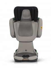 Автокресло Cavoe Grand Prix Pro Isofix, 15-36 кг, Taupe цена и информация | Автокресла | 220.lv