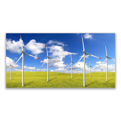 Reprodukcija Vēja elektrostacijas cena un informācija | Gleznas | 220.lv