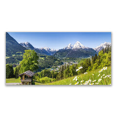 Reprodukcija Kalnu ainava cena un informācija | Gleznas | 220.lv