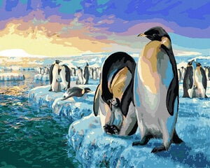 Glezna pēc cipariem Arktikas pingvīni, 40x50 cm cena un informācija | Gleznas pēc numuriem | 220.lv