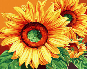 Glezna pēc cipariem Greznās saulespuķes, 40x50 cm cena un informācija | Gleznas pēc numuriem | 220.lv