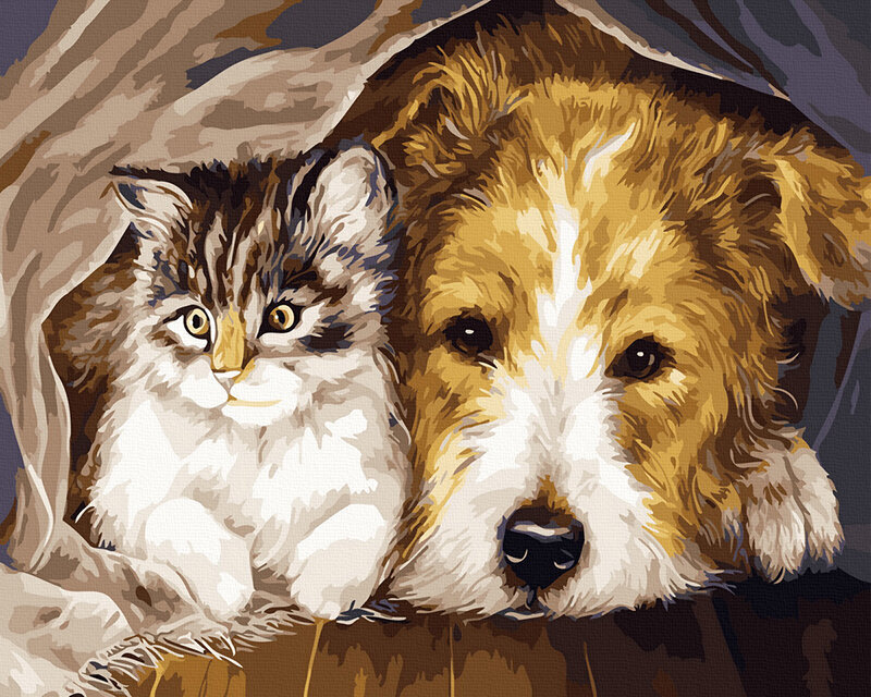 Glezna pēc cipariem Kaķis un Suns, 40x50 cm cena un informācija | Gleznas pēc numuriem | 220.lv