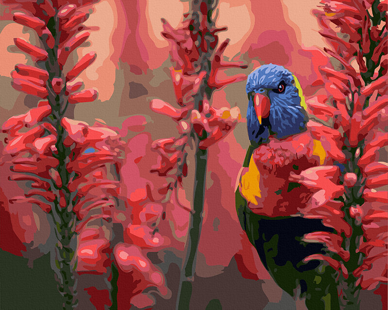 Glezna pēc cipariem Papagailis, 40x50 cm cena un informācija | Gleznas pēc numuriem | 220.lv