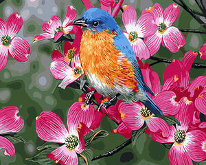 Glezna pēc cipariem Pavasara putns, 40x50 cm cena un informācija | Gleznas pēc numuriem | 220.lv