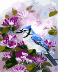 Glezna pēc cipariem Putns ziedos, 40x50 cm cena un informācija | Gleznas pēc numuriem | 220.lv