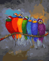 Glezna pēc cipariem Varavīksnes krāsu papagaiļi, 40x50 cm цена и информация | Живопись по номерам | 220.lv