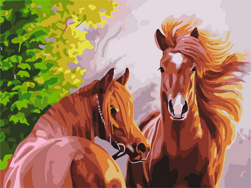 Glezna pēc cipariem Divi zirgi vasaras saulē, 40x50 cm цена и информация | Gleznas pēc numuriem | 220.lv