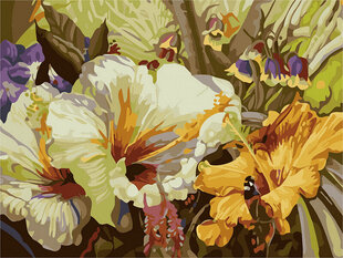 Glezna pēc cipariem Balti ziedi, 40x50 cm cena un informācija | Gleznas pēc numuriem | 220.lv