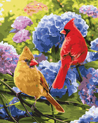 Glezna pēc cipariem Divi papagaiļi, 40x50 cm цена и информация | Живопись по номерам | 220.lv
