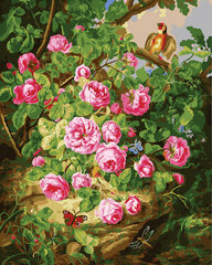 Glezna pēc cipariem Rožu krūms, 40x50 cm cena un informācija | Gleznas pēc numuriem | 220.lv