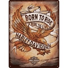 Metāla plāksne Harley Davidson - Born to Ride Eagle, 1 gab. cena un informācija | Interjera priekšmeti | 220.lv