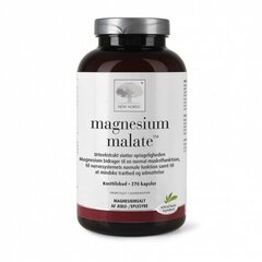 Uztura bagātinātājs Magnesium malate, 90kapsulas cena un informācija | New Nordic Aizsardzības, dezinfekcijas, medicīnas preces | 220.lv