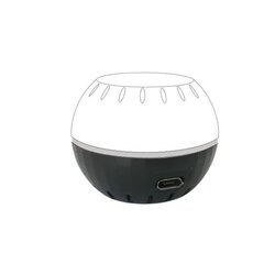 USB-адаптер Shelly H&T (черный) цена и информация | Датчики | 220.lv