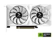 PNY GeForce RTX 4060 OC XLR8 Verto DF White Edition (VCG40608DFWXPB1-O) цена и информация | Videokartes (GPU) | 220.lv