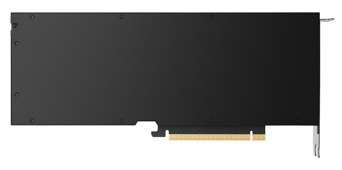 PNY Nvidia RTX A4500 Ada (VCNRTX4500ADA-SB) цена и информация | Videokartes (GPU) | 220.lv