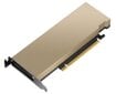 Lenovo ThinkSystem Nvidia A16 (4X67A76727) цена и информация | Videokartes (GPU) | 220.lv