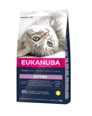 Eukanuba Cat Kitten All Breeds Healthy Start kaķēniem, ar vistas gaļu un aknām, 10 kg cena un informācija | Sausā barība kaķiem | 220.lv