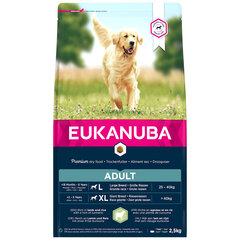 Eukanuba Adult Large Breeds для взрослых собак крупных пород с бараниной и рисом, 2,5 кг цена и информация |  Сухой корм для собак | 220.lv