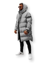 Ziemas pelēkā jaka Seter O/M799-52005-XXL цена и информация | Мужские куртки | 220.lv