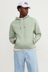 Jack & Jones спортивный свитер, зелёный цена и информация | Мужские толстовки | 220.lv