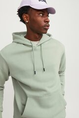 Jack & Jones спортивный свитер, зелёный цена и информация | Мужские толстовки | 220.lv