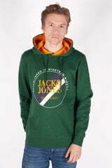 Jack & Jones спортивный свитер, зелёный цена и информация | Мужские толстовки | 220.lv