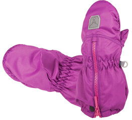 Демисезонные рукавички для малышей, на молнии и кнопке Hofler Shell  цена и информация | Зимняя одежда для детей | 220.lv