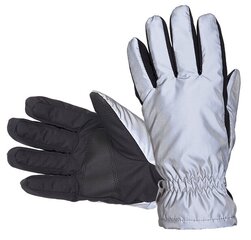 Светоотражающие перчатки для женщин Hofler Essentials цена и информация | Женские перчатки | 220.lv