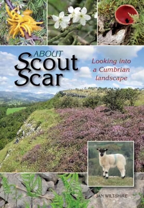 About Scout Scar: Looking into a Cumbrian Landscape cena un informācija | Sociālo zinātņu grāmatas | 220.lv