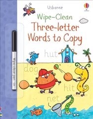 Wipe-Clean Three-Letter Words to Copy цена и информация | Книги для подростков и молодежи | 220.lv