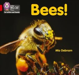 Bees!: Band 02b/Red B цена и информация | Книги для подростков и молодежи | 220.lv