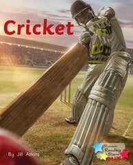 Cricket цена и информация | Книги для подростков  | 220.lv