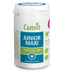 Витамины для собак Can Vit Dog Junior Maxi, 230 г цена и информация | Витамины, пищевые добавки, анти-паразит продукты для собак | 220.lv