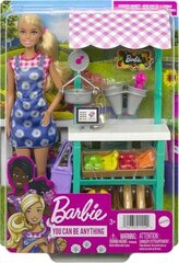 Кукла Barbie с аксессуарами цена и информация | Игрушки для девочек | 220.lv