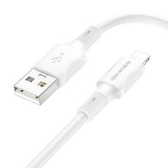 Borofone, USB, Lightning цена и информация | Кабели для телефонов | 220.lv