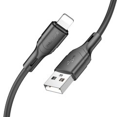 Borofone, USB, Lightning cena un informācija | Savienotājkabeļi | 220.lv